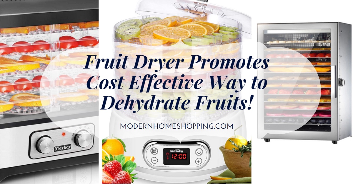 Best Food Dehydrator As Cost Effective Way to Dry Fruits