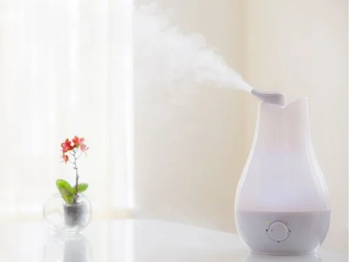 Home Humidifiers Guide 2025: Benefits, Types, and Tips