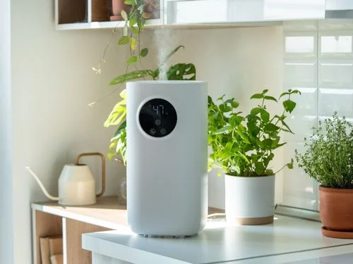 Home Humidifiers Guide 2025: Benefits, Types, and Tips